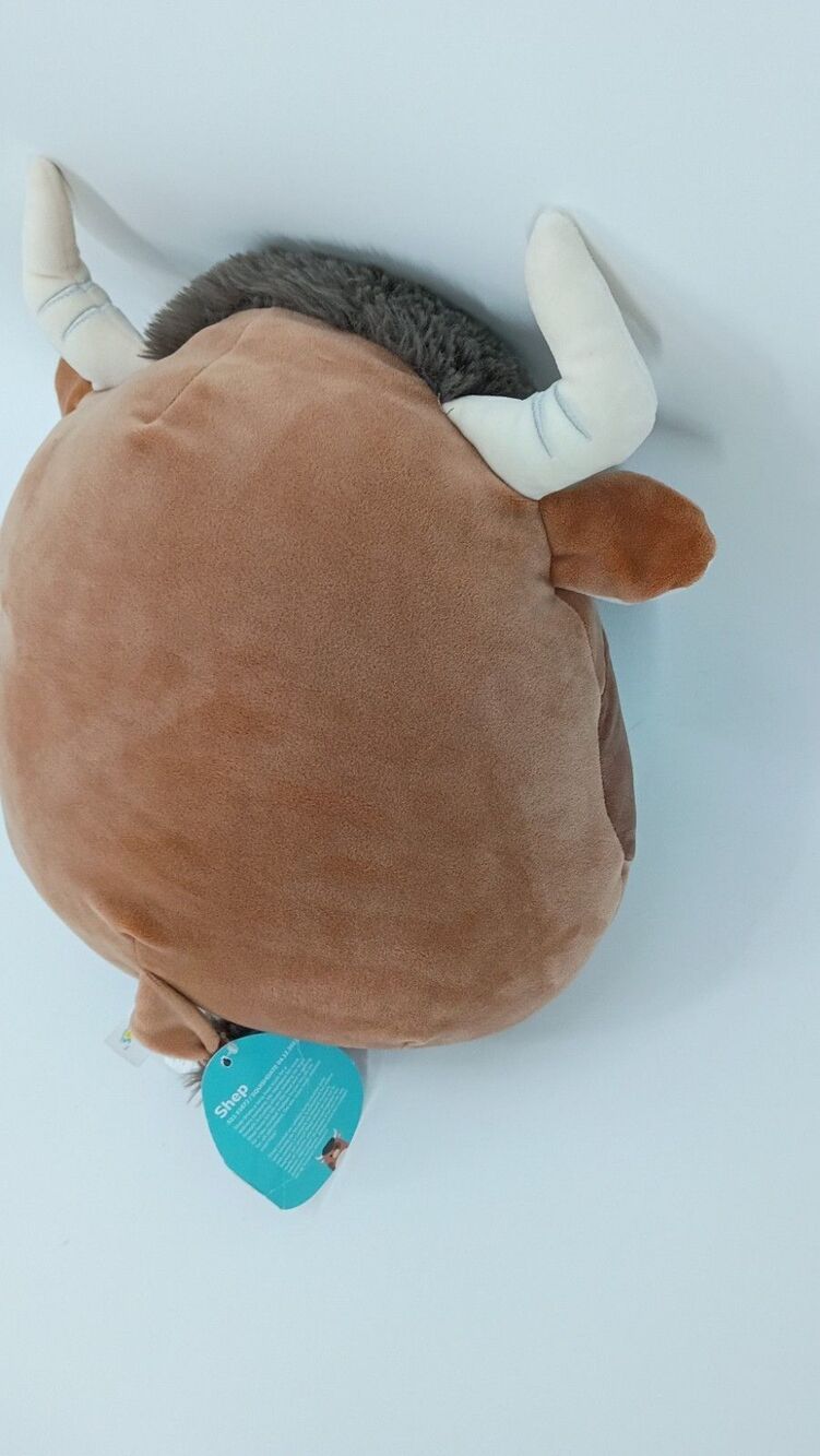 Squishmallows Shep Highland Cow 11" Plush S11 #1672 Kellytoy 2023 w/ Hang Tag - Picture 12 of 14
